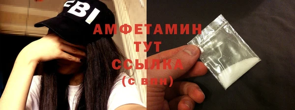 индика Сатка