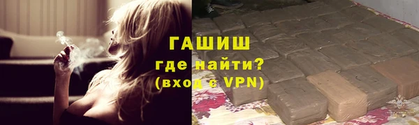 индика Сатка